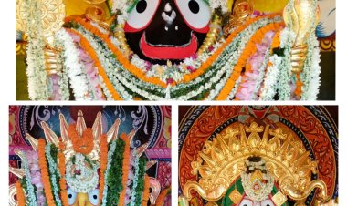 ଶ୍ରୀବାଣୀକ୍ଷେତ୍ରରେ ସୁନାବେଶ ସଂପନ୍ନ : ଓମଟିଭି 