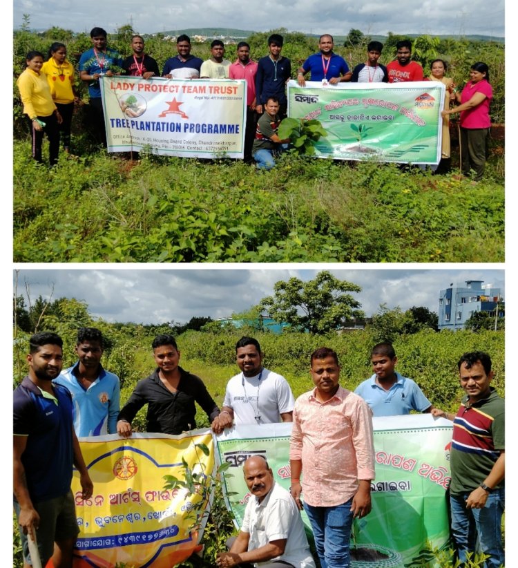 ଚନ୍ଦକା ଗୋ ଶାଳ ଓ ପଥରଗାଡ଼ିଆ ଖେଳ ପଡ଼ିଆରେ ସମ୍ବାଦ ସାହିତ୍ୟ ଘର ପକ୍ଷରୁ ବୃକ୍ଷ‌ରୋପଣ : ଓମଟିଭି