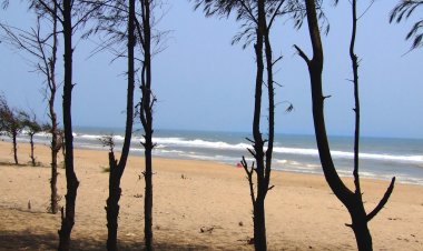 ସମୂଦ୍ର କୂଳ ଜମିମାଫିଆଙ୍କ ବିରୋଧରେ କାର୍ଯ୍ୟାନୁଷ୍ଠାନ : ଓମଟିଭି