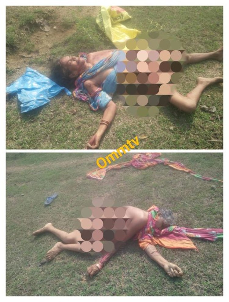 ସାବଧାନ ହିନ୍ଦୋଳରେ ମାତିଛନ୍ତି ବଣୁଆ ହାତୀ : ଓମଟିଭି