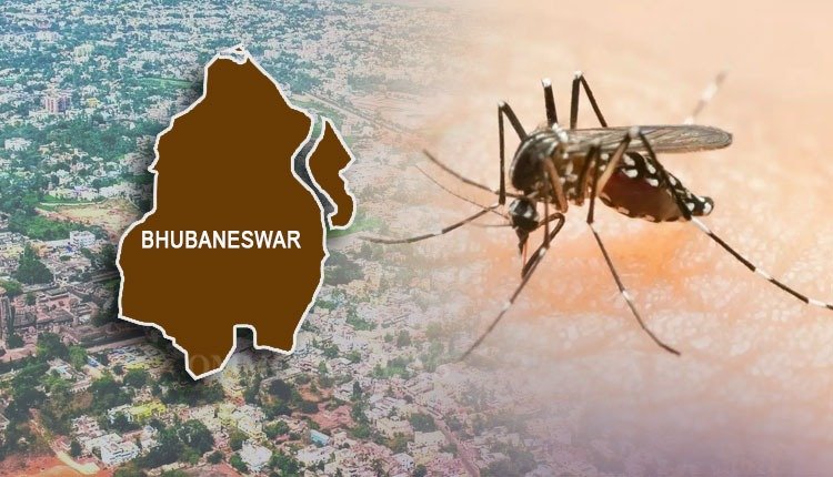 ରାଜଧାନୀରେ ହୁ ହୁ ହୋଇ ବଢ଼ୁଛି ଡେଙ୍ଗୁ