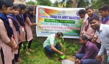 National Service Planning Program : Ommtv