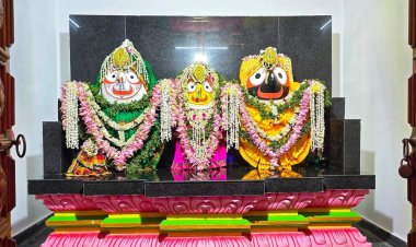 ଗୁଣ୍ଡିଚା ମନ୍ଦିରରେ ବିରାଜମାନ ମହାପ୍ରଭୂ : Ommtv Round The Clock