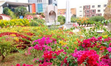 ୩୦ ଟି କ୍ୟାମ୍ପସରେ ୬୩ ପ୍ରକାର ଫୁଲ, ଝଲସୁଛି କିଟ୍ ରୋଡ଼ : Ommtv