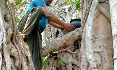 ଖରାଦିନେ ପଶୁପକ୍ଷୀଙ୍କ ସେବାରେସ ମାଜସେବୀ ପ୍ରତାପ ସାହୁ: Ommtv 