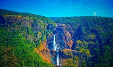 ଶିମିଳିପାଳକୁ ଜାତୀୟ ଉଦ୍ୟାନ ମାନ୍ୟତା, ସଫଳ ହେଲା ୪୫ ବର୍ଷର ପ୍ରୟାସ : Ommtv