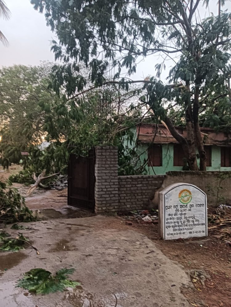 ଲାଞ୍ଜିଗଡ ବ୍ଲକରେ କାଳବୈଶାଖୀ ଫଳରେ ପ୍ରବଳ କ୍ଷତି: Ommtv 