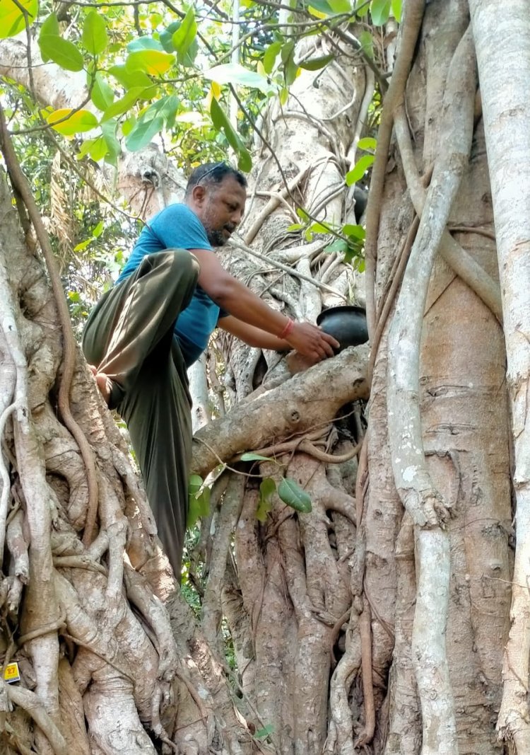 ଖରାଦିନେ ପଶୁପକ୍ଷୀଙ୍କ ସେବାରେସ ମାଜସେବୀ ପ୍ରତାପ ସାହୁ: Ommtv 