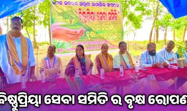 କାଠଯୋଡ଼ି ନଦୀ ପଠାରେ ଚାରା ରୋପଣ : ommtv କଳିଙ୍ଗବିକାଶ