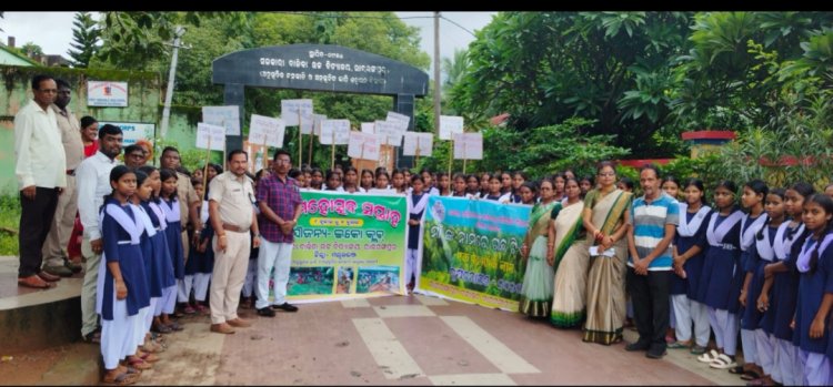 ରାଇରଙ୍ଗପୁର ଏସ୍‌ ଏସ୍‌ ଡ଼ି ବାଳିକା ଉଚ୍ଚ ବିଦ୍ୟାଳୟରେ ବନ ମହୋତ୍ସବ ପାଳିତ:Ommtv Kalingavikas