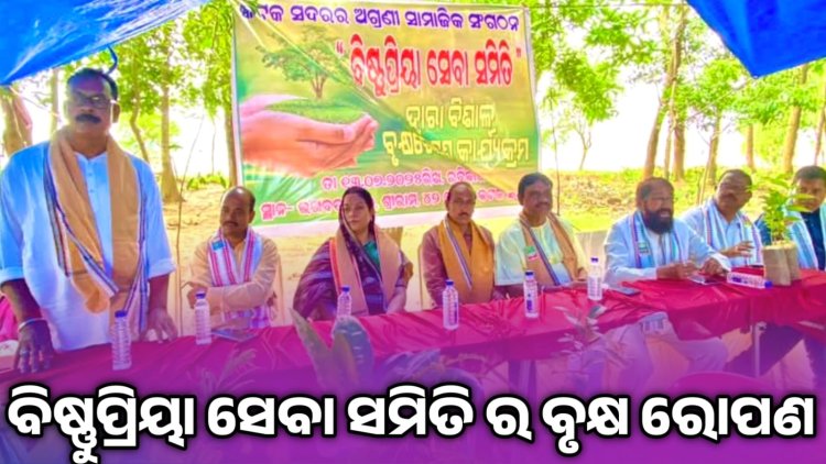 କାଠଯୋଡ଼ି ନଦୀ ପଠାରେ ଚାରା ରୋପଣ : ommtv କଳିଙ୍ଗବିକାଶ