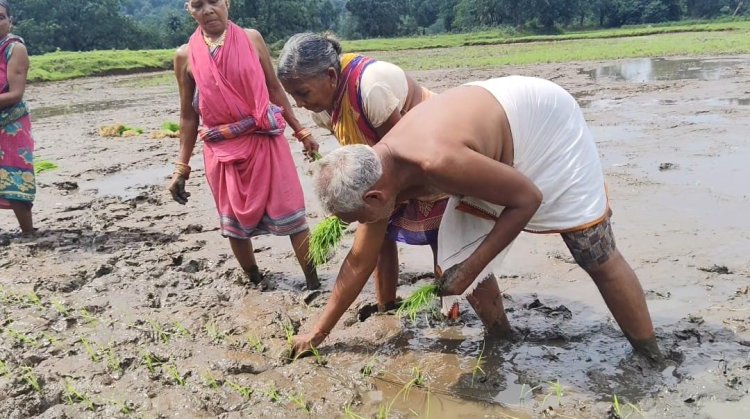 ଅବସର ପରେ ଚାଷ କାମକୁ ଆପଣେଇ ନେଇଛନ୍ତି ଫୁଲବାଣୀ ର ପୁର୍ବତନ ବିଧାୟକ ଅଙ୍ଗଦ କହଁର, ଅବସର ପରେ ବିଲରେ ଚାଷ କରି ଅନ୍ୟଚାଷୀଙ୍କ ପାଈଁ ସାଜିଛନ୍ତି ପ୍ରେରଣା:Ommtv Kalingavikas