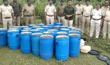 କରଞ୍ଜିଆ ଅବକାରୀ ବିଭାଗର ବିଭିନ୍ନ ସ୍ଥାନରେ ଚଢାଉ , ୮୬୫ ଲିଟର ଦେଶି ମହୁଲି ମଦ ଜବତ୍ ସହିତ ୧୮୦୦୦ କିଲୋ ମହୁଲ ପୋଚୋ ନଷ୍ଟ :Ommtv Kalinga Vikas