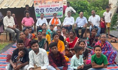 ରାଜୀବଗାନ୍ଧୀ ପଞ୍ଚାୟତରାଜ ସଂଗଠନ ଏବଂ ଜିଲ୍ଲା କଂଗ୍ରେସ କମିଟି ଦ୍ୱାରା ରାଜଗୋପାଳ ନଗରରେ ବୃକ୍ଷ ରୋପଣ :Ommtv Kalinga Vikas