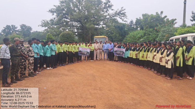 ଏସ୍‌ଏସ୍‌ଆଇଟି ପଲିଟେକ୍‌ନିକ୍‌ରେ ହସ୍ତୀ ଦିବସ l Ommtv