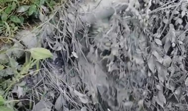 ଲାଞ୍ଜିଗଡ ବେଦାନ୍ତ କମ୍ପାନୀ ଓ ରକ୍ଷIଣ ବେକ୍ଷIଣ କମ୍ପାନୀ ଚେନେଇ ରାଧା ପାଇଁ ଜନସାଧାରଣ ହନ୍ତ ସନ୍ତ :Ommtv Kalinga Vikas