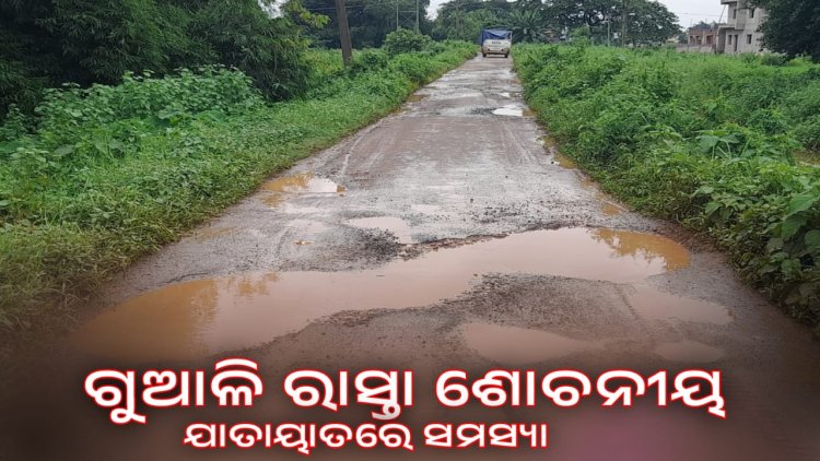 ଗୁଆଳି ରାସ୍ତା ଶୋଚନୀୟ ଯାତାୟାତରେ ସମସ୍ୟା : OMMTV କଳିଙ୍ଗ ବିକାଶ