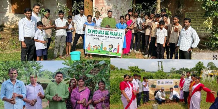 ଭଦ୍ରକ ଜିଲ୍ଲା ଭଣ୍ଡାରି ପୋଖରୀ ବ୍ଲକ ଅନ୍ତର୍ଗତ ଷୋଳମପୁର ଗ୍ରାମରେଏକ ପେଡ ମା କେ ନାମ :Ommtv