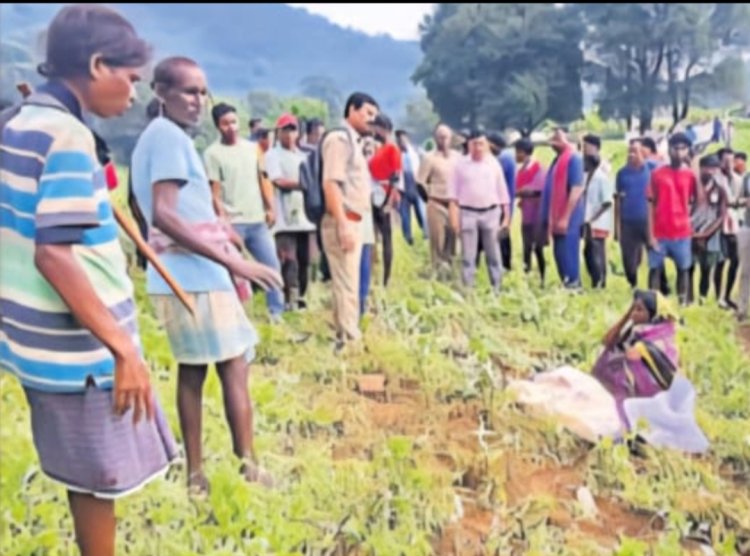 ଉପାନ୍ତ ଇଲାକାରେ ହାତୀର ଉପ ଦ୍ରଵ ହାତୀ ଆକ୍ରମଣରେ ୦୫ ବର୍ଷର ଛୁଆର ମୃତ୍ୟୁ :Ommtv kalinga vikas