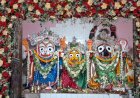 ଆଡପ ମଣ୍ଡପରେ କଚ୍ଛପ ବେଶରେ ଦିବ୍ଯ ଦର୍ଶନ ଦେଲେ ଚଧୂର୍ତ୍ତା ମୂର୍ତ୍ତି।