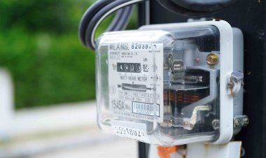 Odisha electricity meter reader booked for using AI to manipulate readings